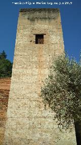 Alhambra. Torre del Cadí. 