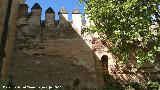 Alhambra. Torre del Cadí. Desagüe y almenas de su lienzo derecho