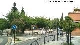 Campo del Príncipe. 