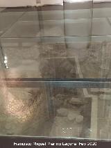 Madraza. Excavaci�n arqueol�gica del Oratorio