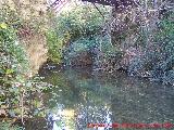 Río Alhama. 