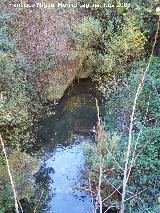 Río Alhama. 