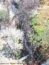 Río Alhama. Cascada que hay pasado el puente romano hacia el balmeario