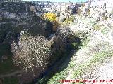 Río Alhama. 