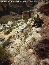 Castillo de Montefro. 