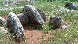 Necrópolis megalítica de Peña de los Gitanos. Dolmen del Zoomorfo