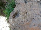 Necrópolis megalítica de Peña de los Gitanos. Cazoleta del Abrigo de la Colmena