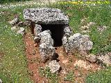 Necrópolis megalítica de Peña de los Gitanos. Dolmen de la Media Puerta