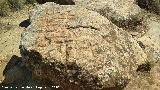 Petroglifos de Alicún de las Torres. 