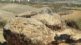 Petroglifos de Alicún de las Torres. 