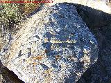 Petroglifos de Alicún de las Torres. Piedra III
