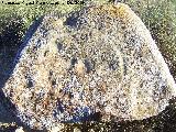 Petroglifos de Alicún de las Torres. Piedra I