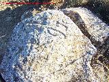 Petroglifos de Alicún de las Torres. Piedra con antropomorfos y símbolos