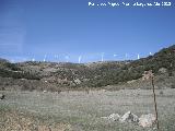 Parque eólico Sierra del Trigo. 
