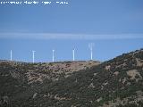 Parque eólico Sierra del Trigo. Con la luna