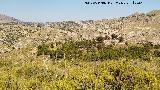 Dolmen XII. Cerro en d�nde se encuentra