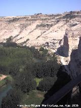 Hoz del Ro Jucar. Desde uno de los miradores de la Cueva del Diablo