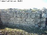 Yacimiento arqueológico Ronda la Vieja. Muro del foro