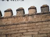 Saetera. Torre de la Malmuerta - Córdoba