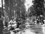 Palmeral de Elche. Lavando en la acequia mayor del río Vinalopó 1911