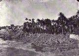 Río Vinalopó. 1858
