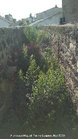 Adarve. Castillón - Úbeda