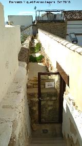 Adarve. Muralla de Úbeda