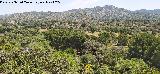 Sierra Morena desde el Encinarejo Provincia de Jaén. Sierra Morena desde el Encinarejo
