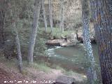 Río Gallo. En el Barranco de la Hoz