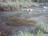 Río Gallo. En el Barranco de la Hoz