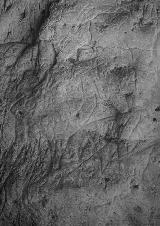 Petroglifos rupestres de la Cueva de los Casares. Cópula
