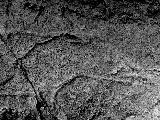 Petroglifos rupestres de la Cueva de los Casares. Cabeza del glotón