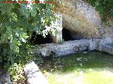 Charca de Fuente Amuña. Fuente