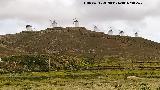 Molinos de Consuegra. 