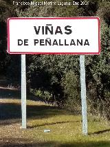 Aldea Viñas de Peñallana. Cartel