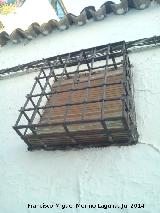 Casa de la Calle Molino nº 68. Reja de rosetas