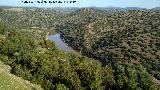 Dehesa Peralejas. Río Guadalén