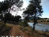 Pantano del Guadal�n. Cola