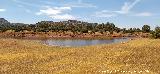 Pantano del Guadal�n. 
