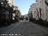 Paseo Virgen del Rocío. 