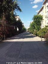 Paseo Virgen del Rocío. 