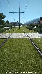 Tranva de Jan. A la altura del Hospital Ciudad de Jan