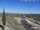 Arroyo Salado. Con el Puente del Salado en primer término y al fondo Lopera
