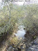 Arroyo Salado. A su paso por el término de Martos