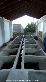 Lavadero de Limones. 