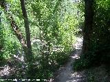Tajo de las Palomas. Camino junto al ro