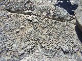 Opus spicatum. Cstulo - Linares