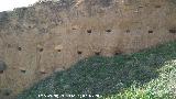 Mechinal. Muralla Sur de Ja�n