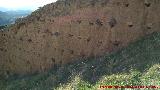 Mechinal. Muralla Sur de Ja�n