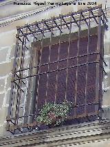 Casa de Los Ávila. Rejería de época
